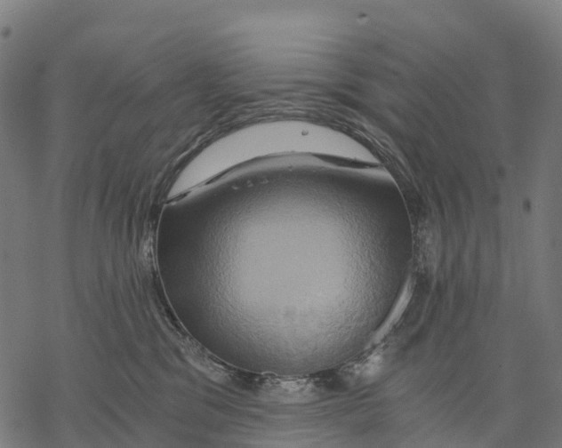 X0000068860329200605261737