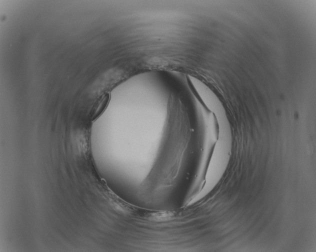 X0000068860335200605261736
