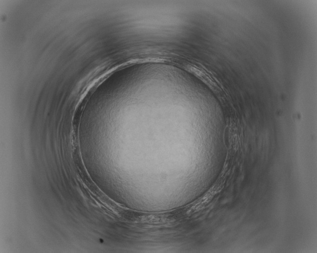 X0000068860338200605261736