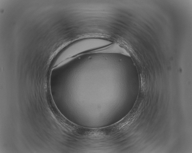 X0000068860348200605261736
