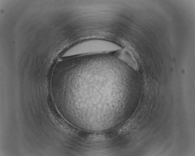 X0000068860354200605261736