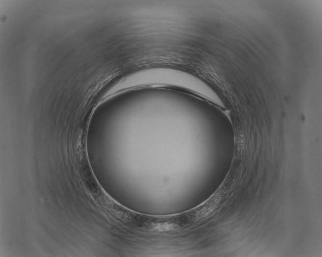 X0000068860360200605261736