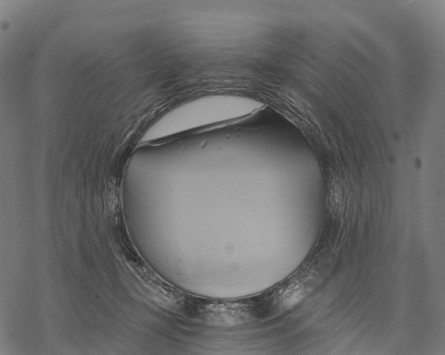 X0000068860367200605261736