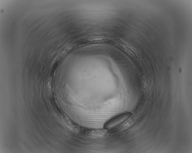 X0000068860373200605261736