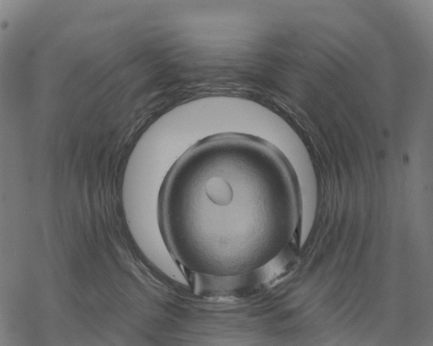 X0000068860380200605261736