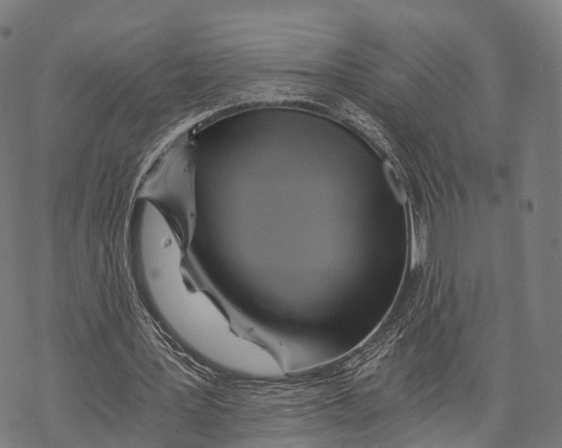 X0000068860387200605261736