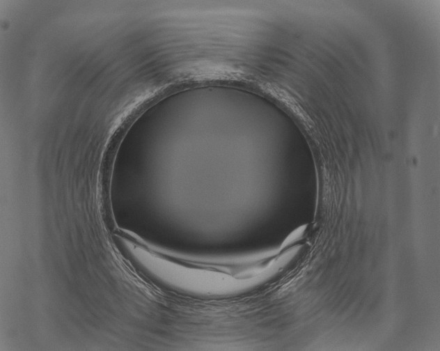 X0000068860391200605261736