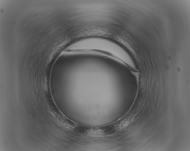 X0000068860403200605261735