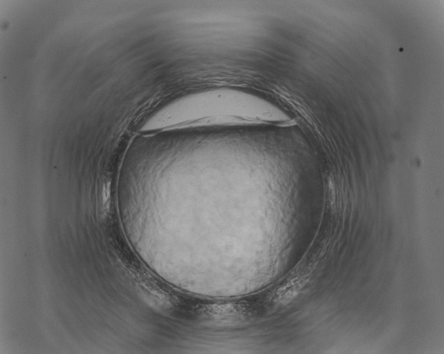 X0000068860406200605261735