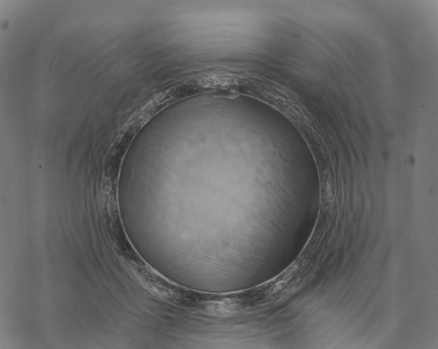 X0000068860411200605261735