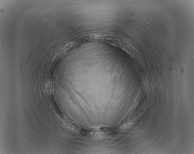 X0000068860419200605261735