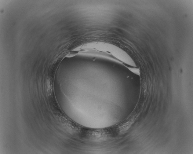 X0000068860420200605261735