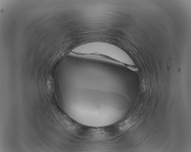 X0000068860424200605261735