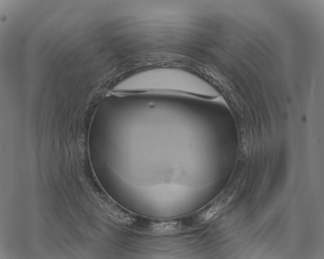X0000068860461200605261735