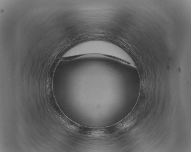 X0000068860462200605261735