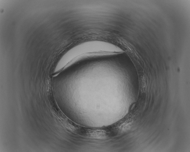 X0000068860463200605261735