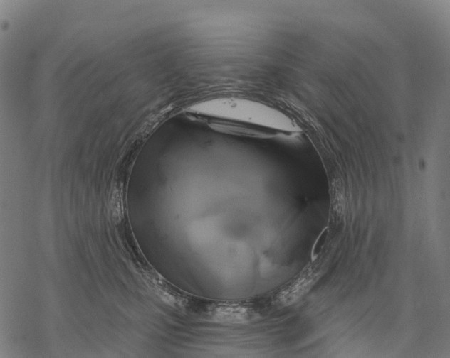 X0000068860471200605261735