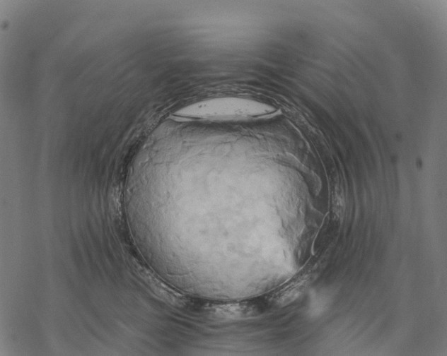X0000068860473200605261735