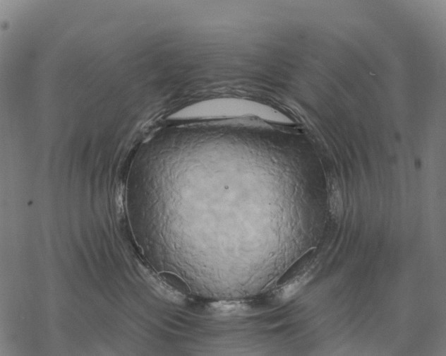 X0000068860477200605261735