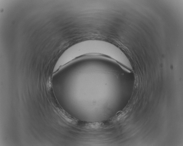 X0000068860479200605261735