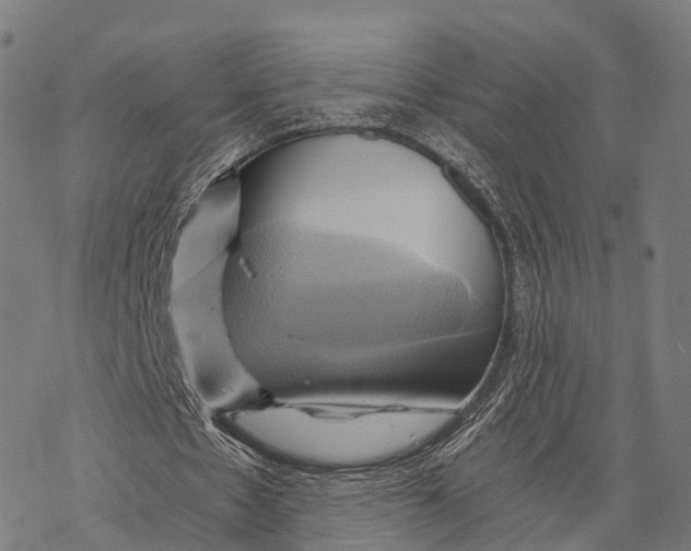 X0000068860481200605261734