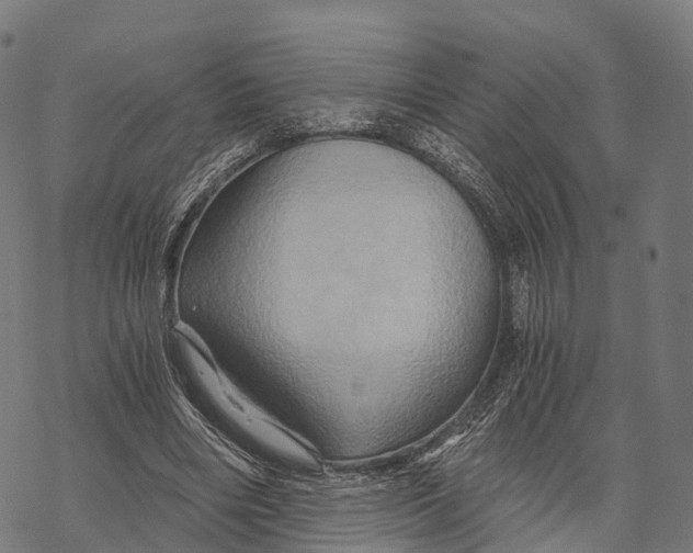 X0000068860490200605261734