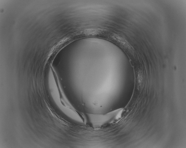 X0000068860492200605261734