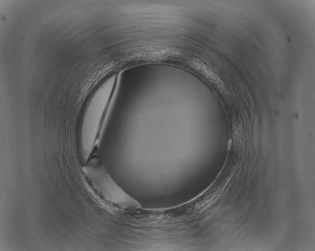 X0000068860493200605261734