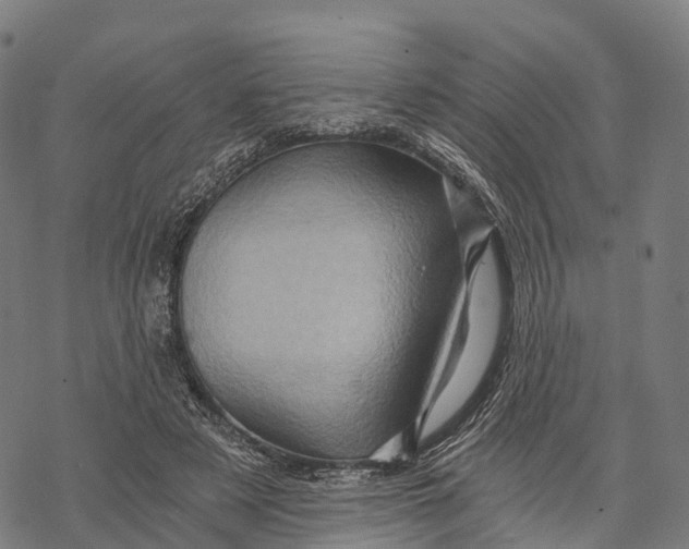 X0000068860497200605261734