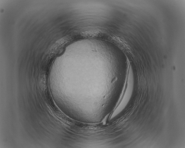 X0000068860498200605261734