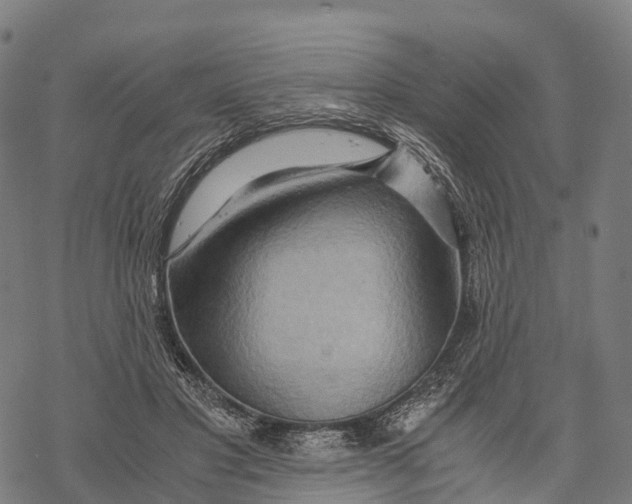 X0000068860501200605261734