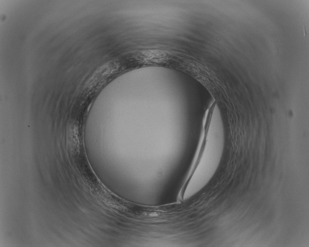 X0000068860506200605261734