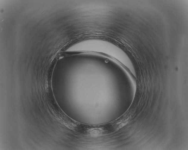 X0000068860508200605261734