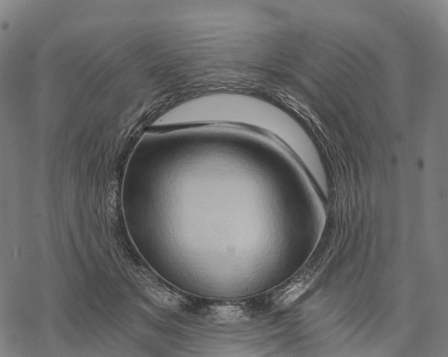 X0000068860509200605261734