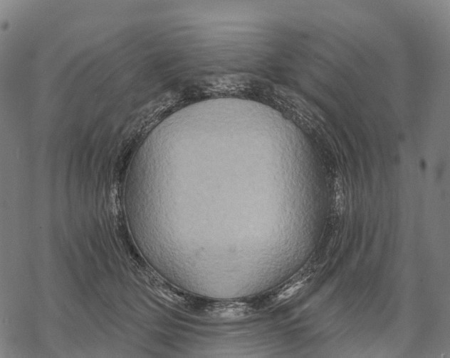 X0000068860514200605261734