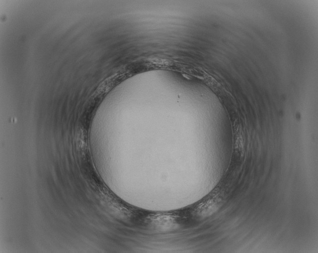 X0000068860518200605261734