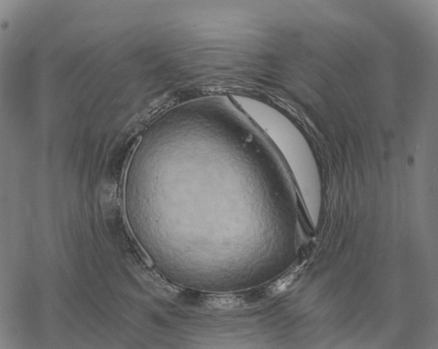 X0000068860521200605261733