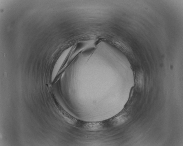 X0000068860526200605261733
