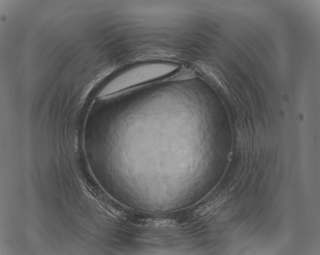 X0000068860539200605261733