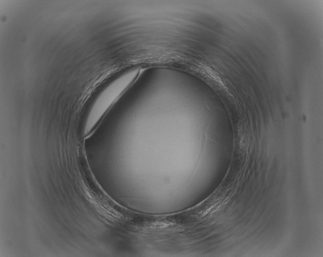 X0000068860542200605261733