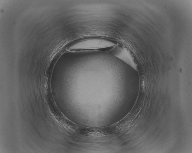 X0000068860544200605261733
