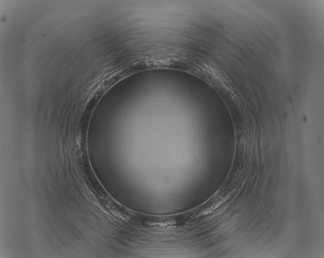 X0000068860548200605261733
