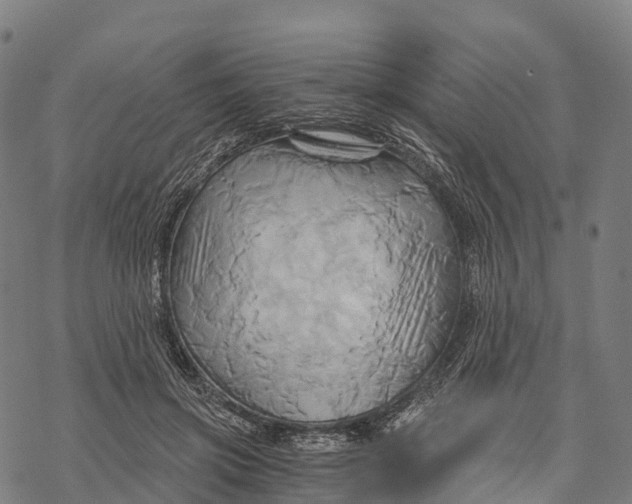 X0000068860549200605261733