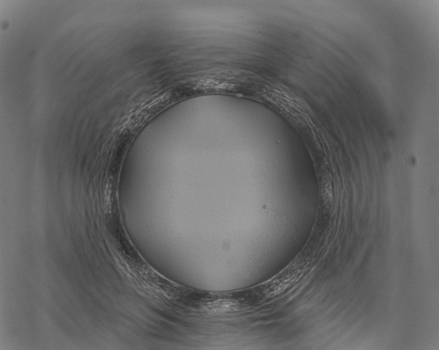 X0000068860551200605261733