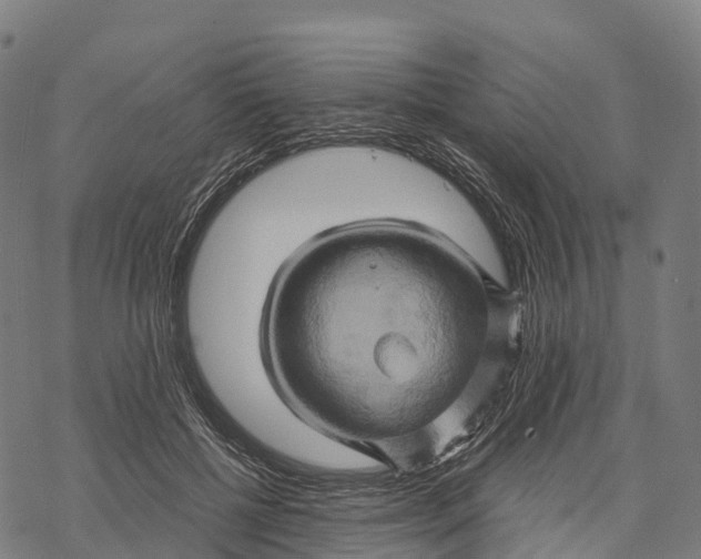 X0000068860552200605261733