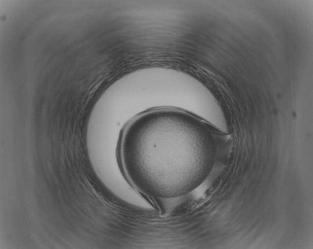 X0000068860560200605261733