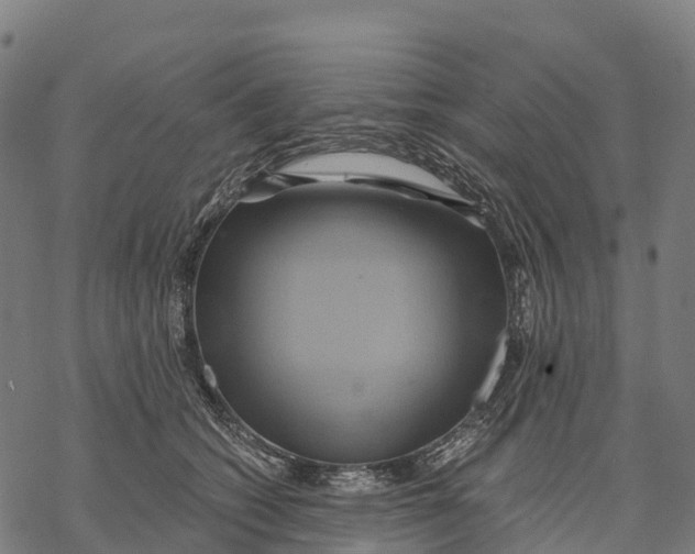 X0000068860562200605261733
