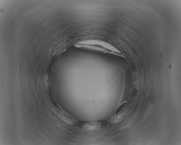 X0000068860563200605261733