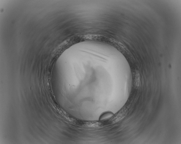 X0000068860569200605261733