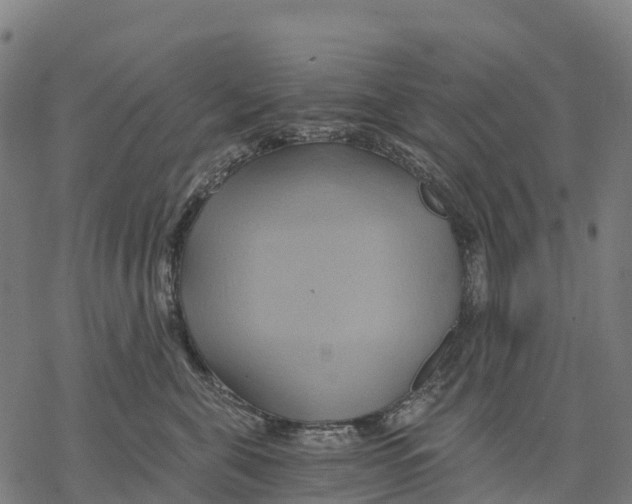 X0000068860571200605261733